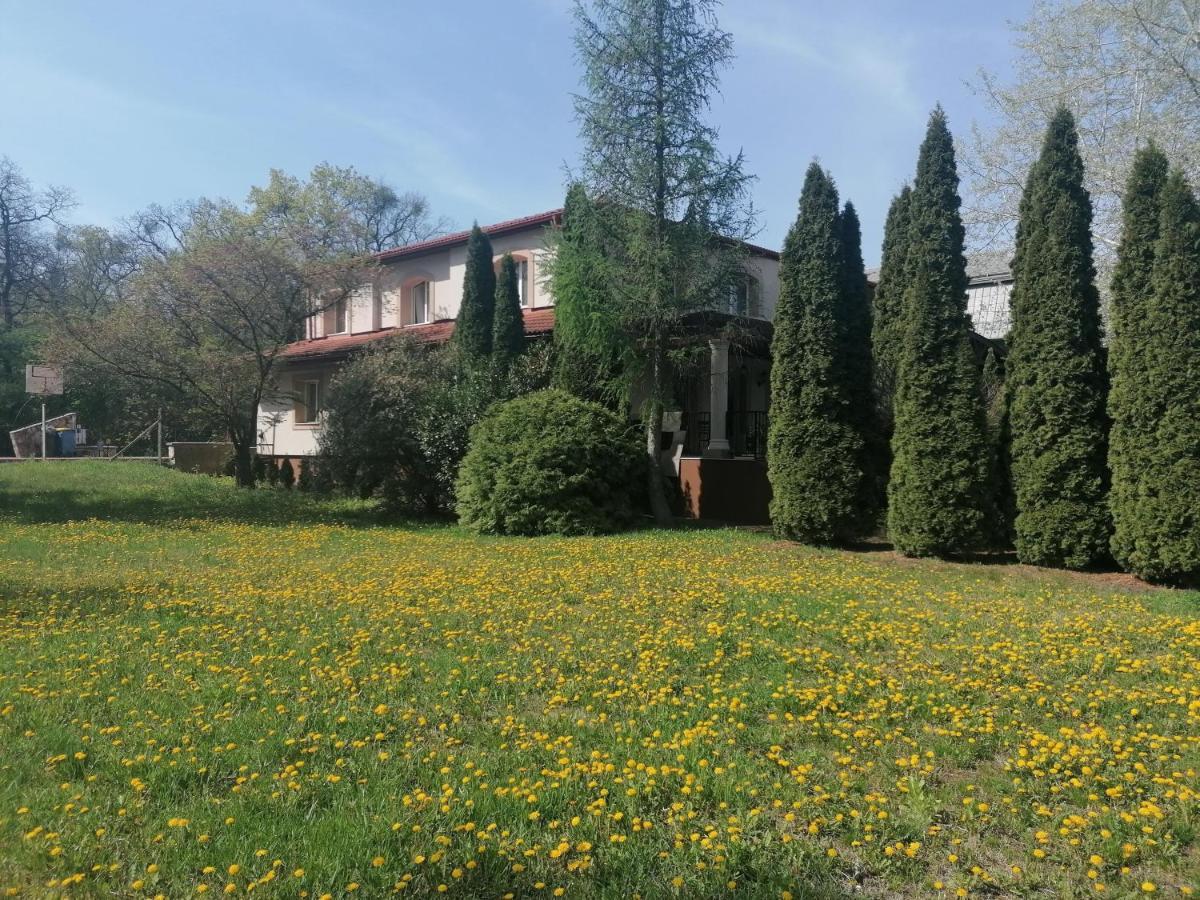 Staff House Bed & Breakfast นีเรกฮาซา ภายนอก รูปภาพ